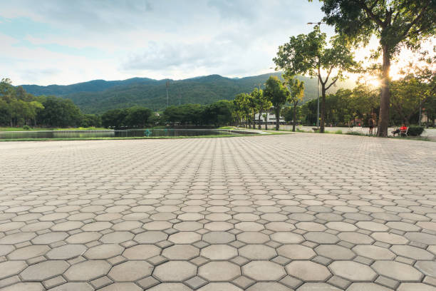 Best Driveway Pavers Near Me  in Tipton, CA